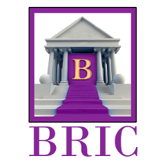 BRIC LLC